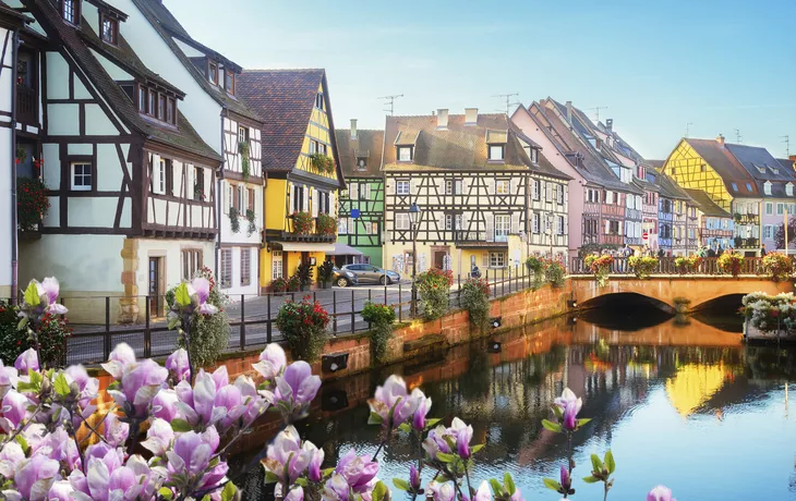 © Getty Images/iStockphoto - Colmar