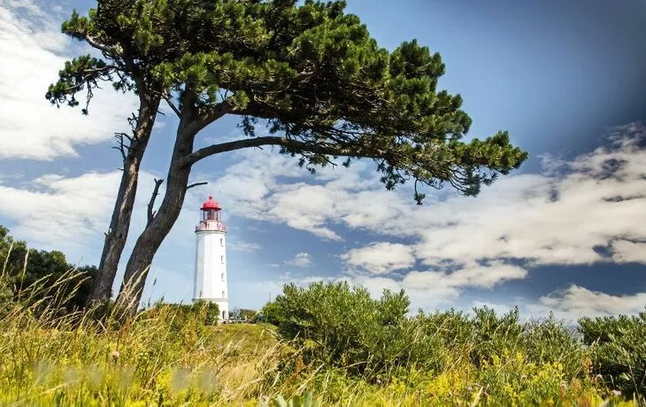 © doris oberfrank-list - Fotolia - Lechtturm Dombusch auf der Insel Hiddensee