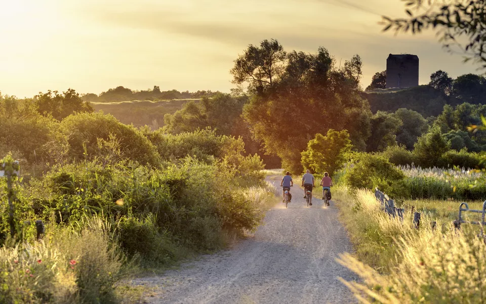 Fahrradtour durch den Nationalpark Unteres Odertal
