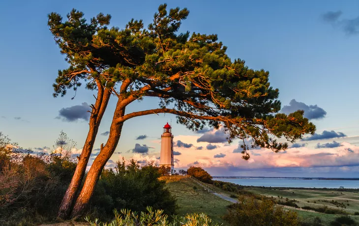 © riebevonsehl - stock.adobe.com - Leuchtturm Dornbusch auf der Insel Hiddensee 