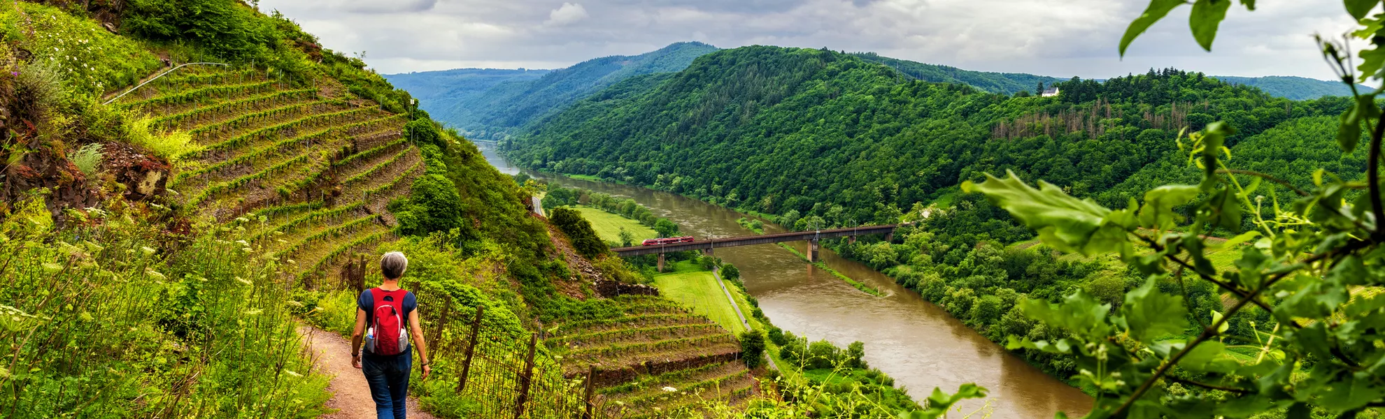 Wanderung entlang der Mosel - © HeinzWaldukat - stock.adobe.com