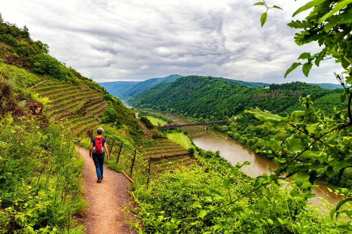 Wanderung entlang der Mosel - © HeinzWaldukat - stock.adobe.com