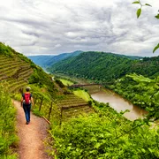 Wanderung entlang der Mosel