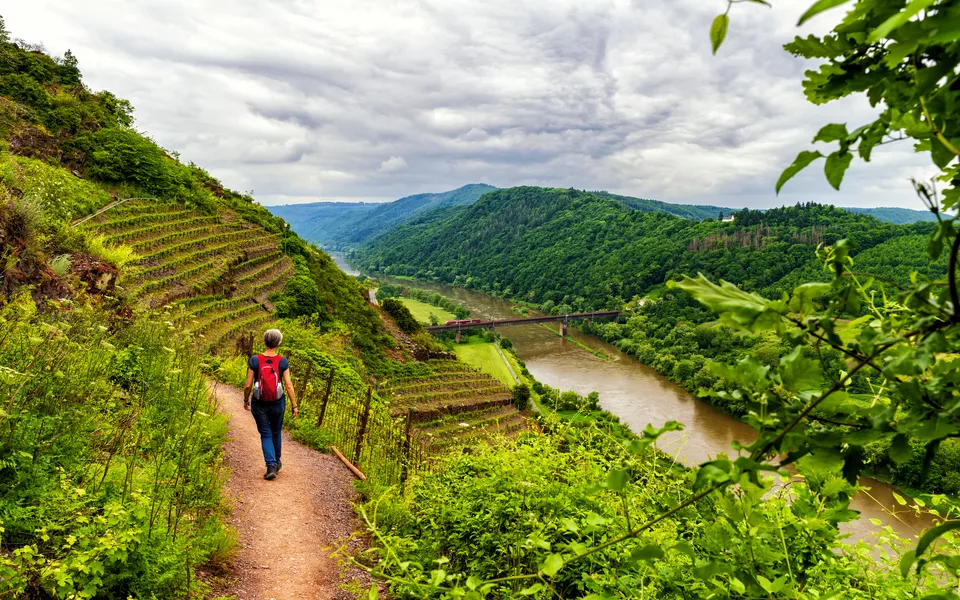 Wanderung entlang der Mosel