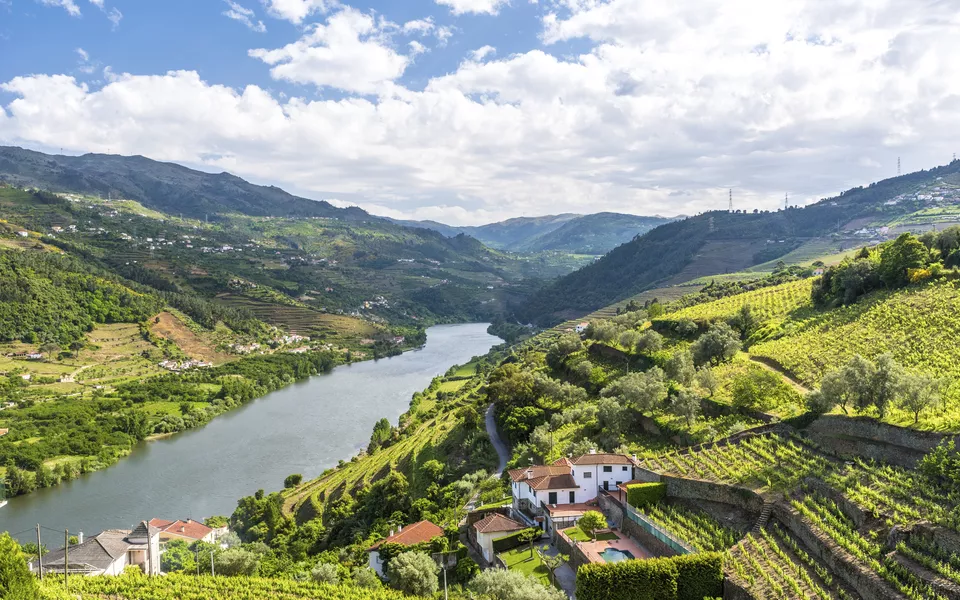 Vallée du Douro