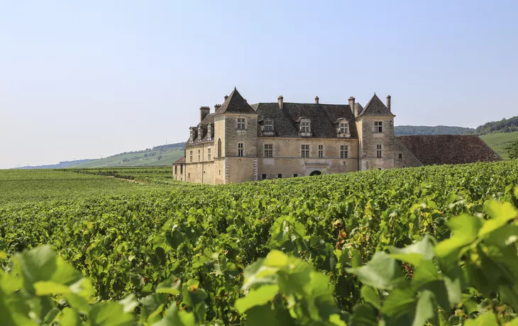 Burgund & Doubs