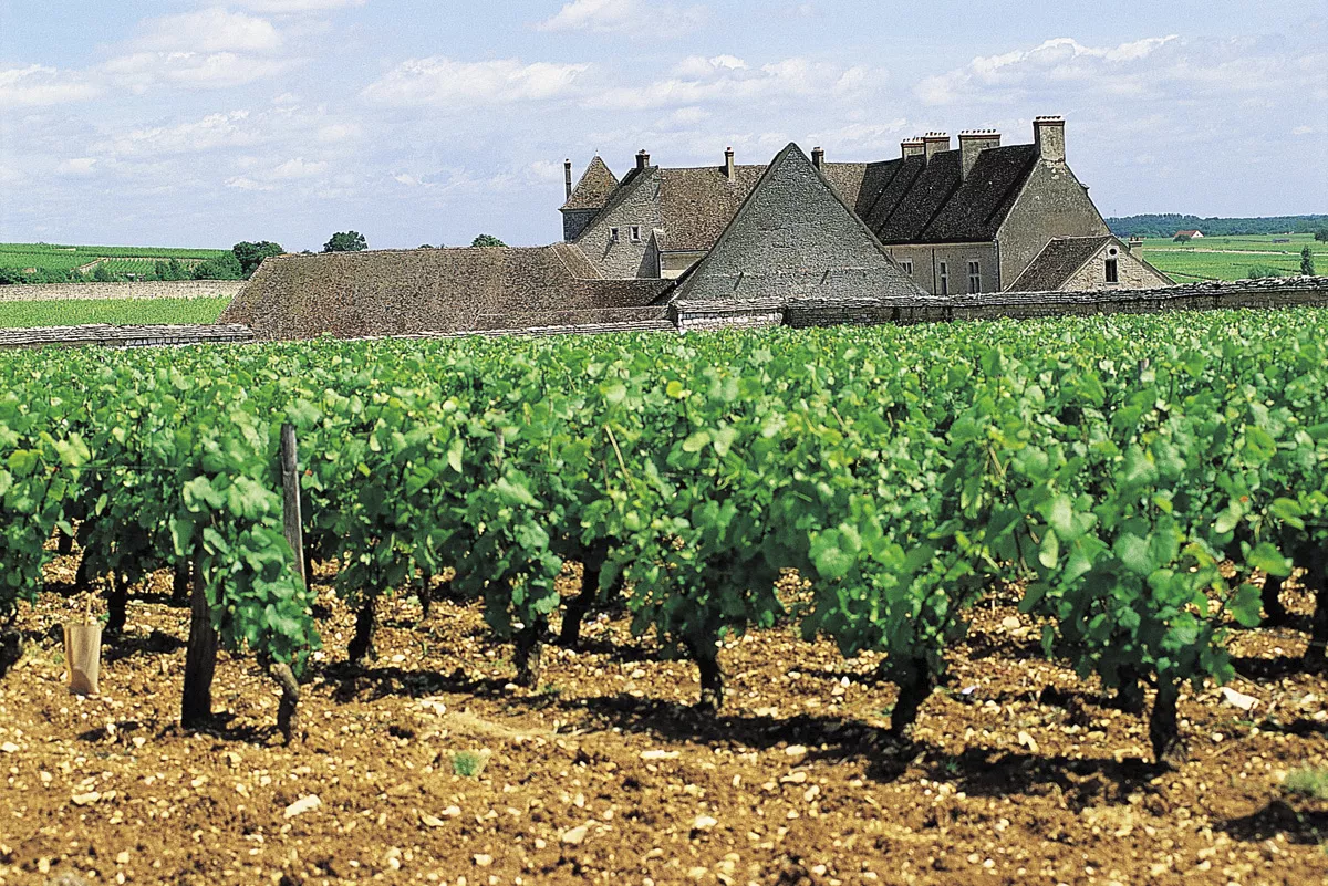 Clos de Vougeot