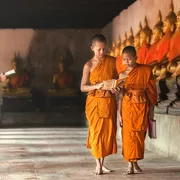 Junge buddhistische Mönche