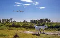 © Kushnirov Avraham - stock.adobe.com