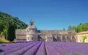© LianeM - Fotolia