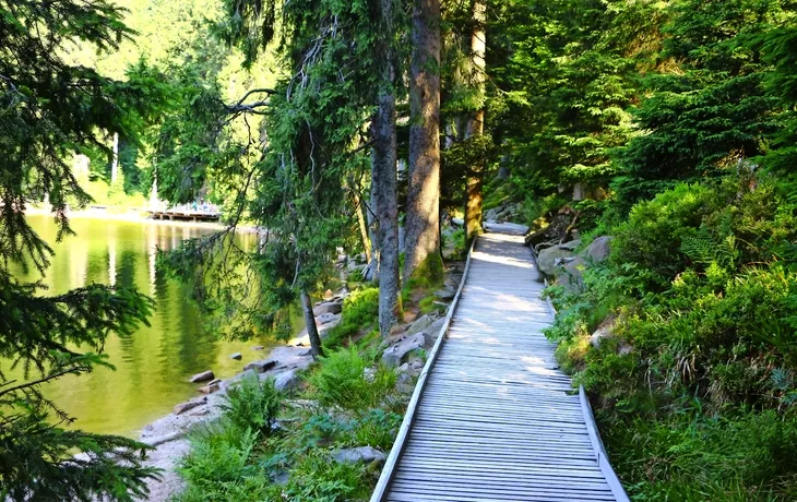 © Pixel62 - stock.adobe.com - Holzsteg am Mummelsee im Schwarzwald, Deutschland