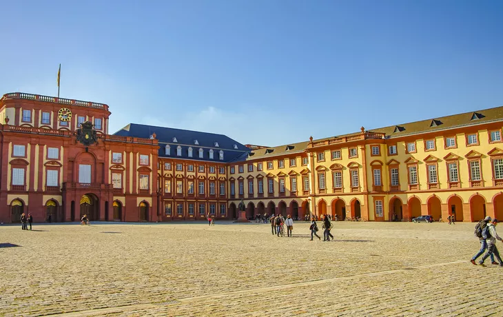 © neurobite - stock.adobe.com - Panoramablick über den Universitätscampus von Mannheim