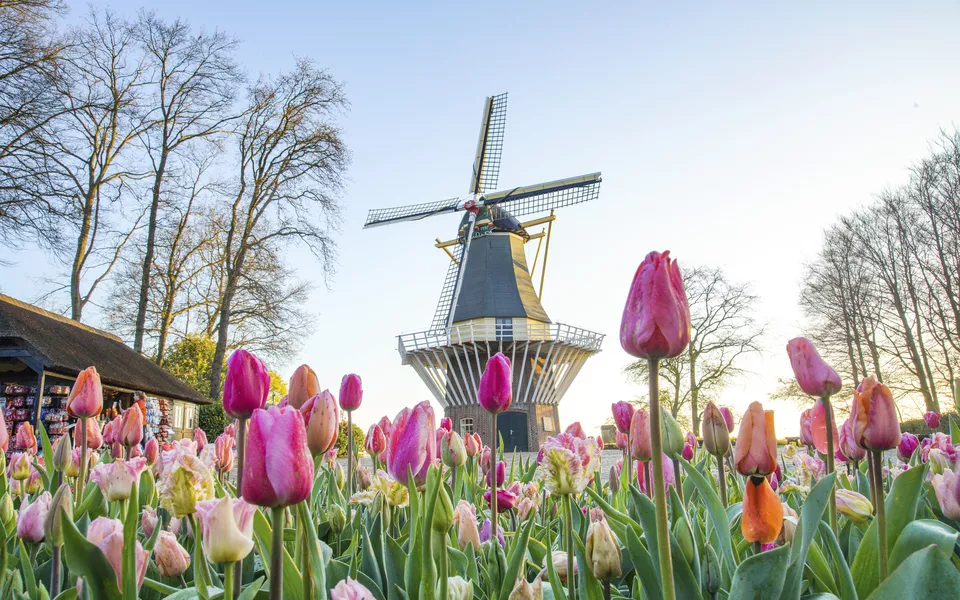 Keukenhof