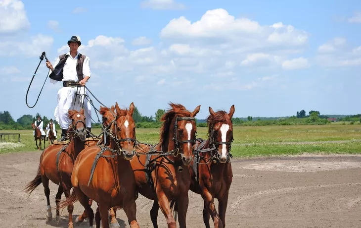 Csikós - Gardiens de chevaux hongrois