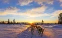 © kjekol - Fotolia