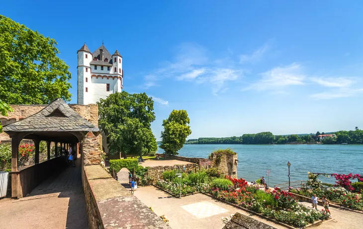 © Sina Ettmer - stock.adobe.com - Burg Eltville sur les rives du Rhin