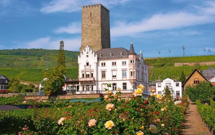 Boosenburg à Rüdesheim