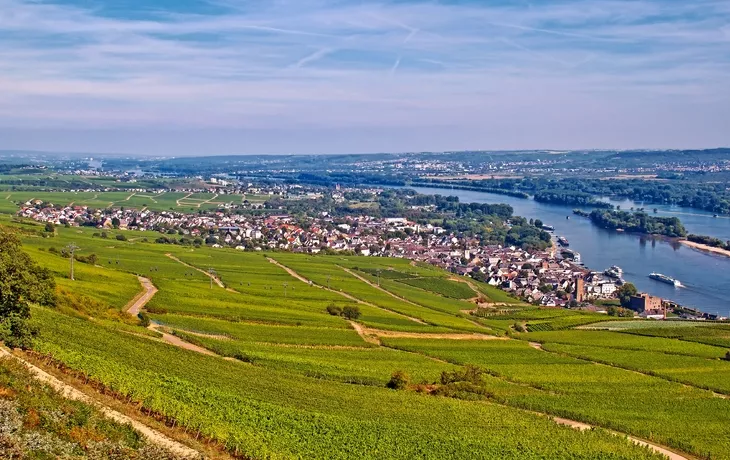 © mojolo - Fotolia - Rüdesheim avec vignoble