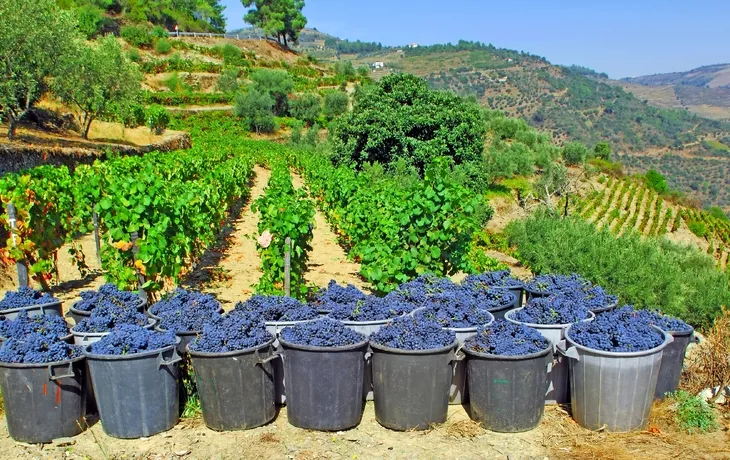 Flussfahrt und Wandern mit Douro Spirit 