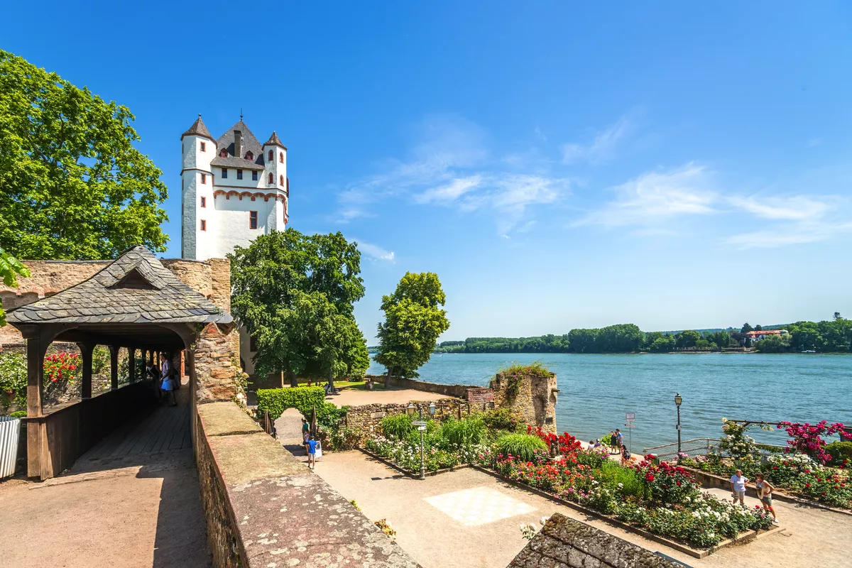 Burg Eltville am Rhein - © Sina Ettmer - stock.adobe.com