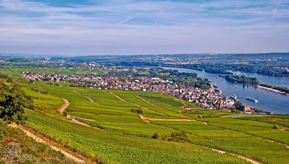 Rüdesheim am Rhein mit Weinbergen - © mojolo - Fotolia