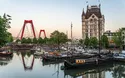 © gnoparus - stock.adobe.com