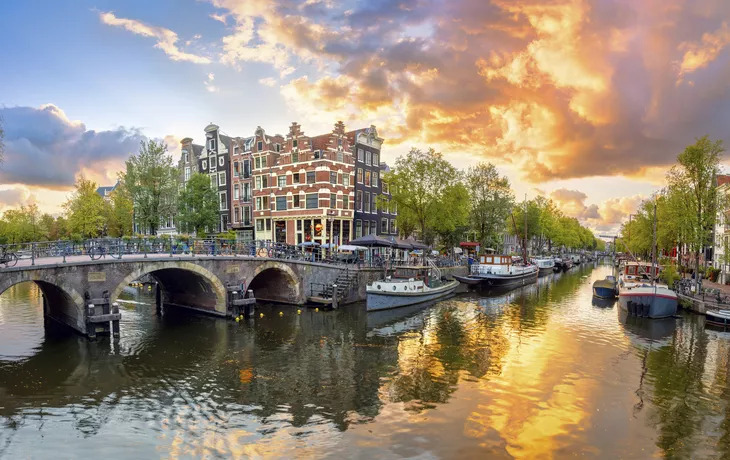 © Taiga - stock.adobe.com - Amsterdam