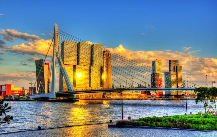 © Leonid Andronov - stock.adobe.com - Erasmusbrücke in Rotterdam