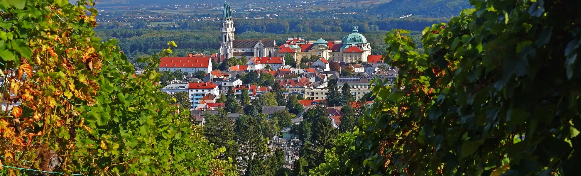 Blick durch die Weingärten auf das Stift Klosterneuburg - © rorue - stock.adobe.com