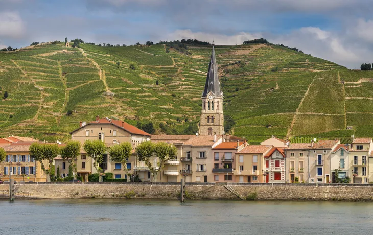 © shutterstock_250802269 - Tournon-sur-Rhône