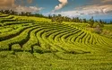 © Lukasz Janyst - stock.adobe.com