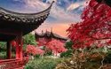 © Weiming - stock.adobe.com
