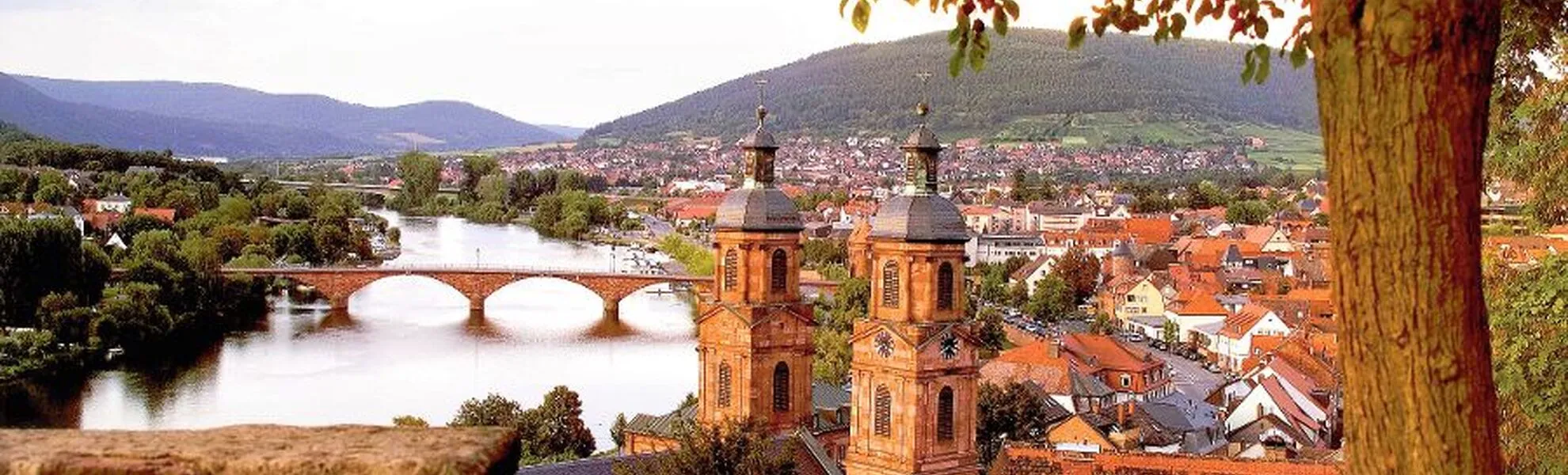 Blick über Miltenberg - © Odenwald Tourismus GmbH