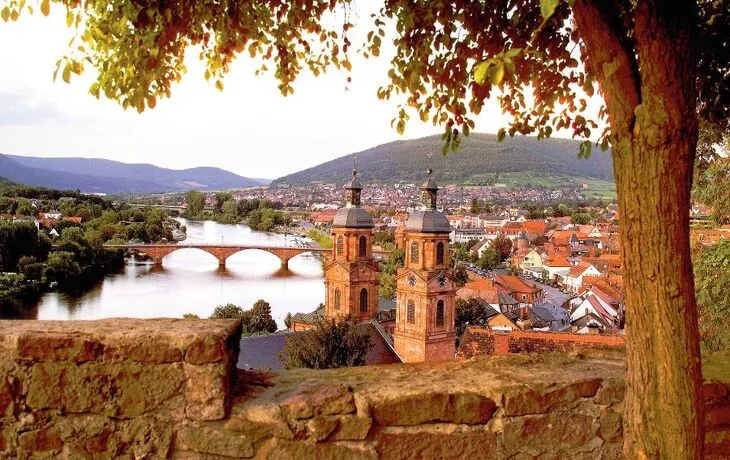 © Odenwald Tourismus GmbH - Blick über Miltenberg