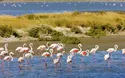 © Richard Semik - stock.adobe.com