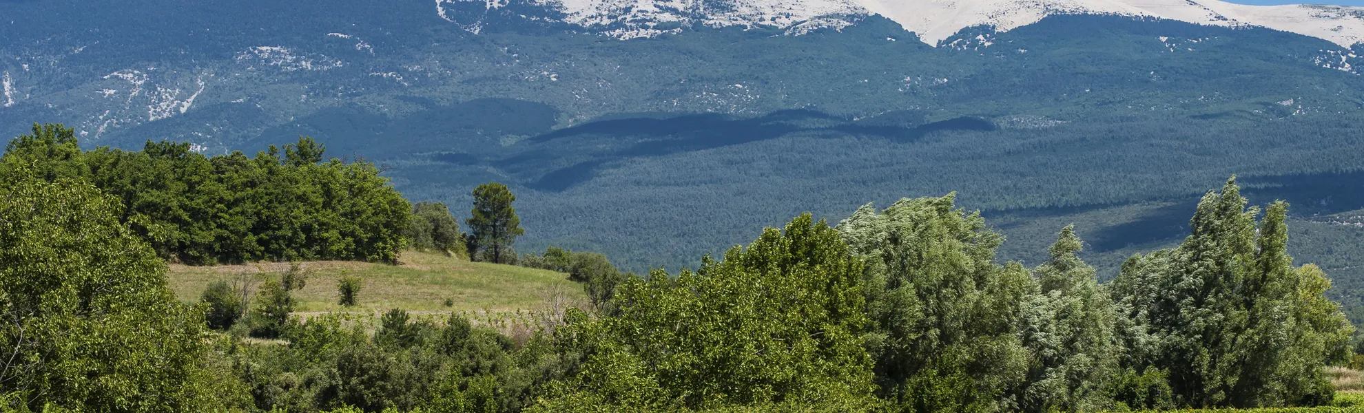 Blick auf den Mont Ventoux