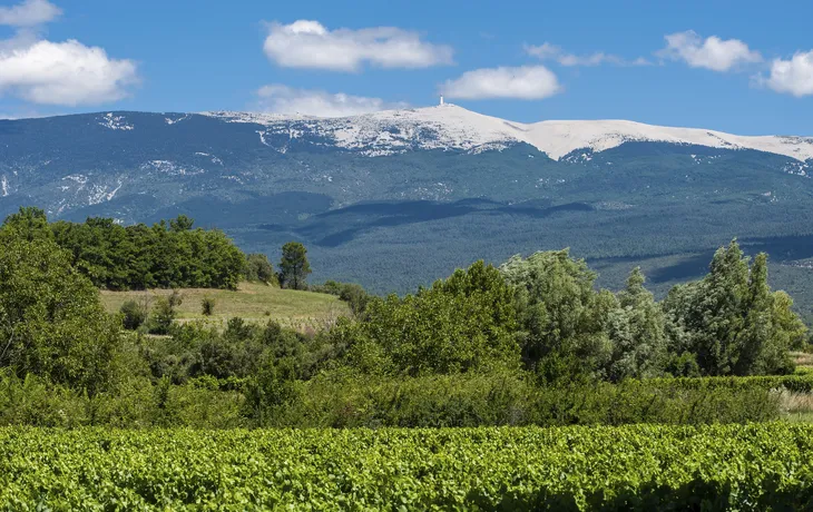 Blick auf den Mont Ventoux
