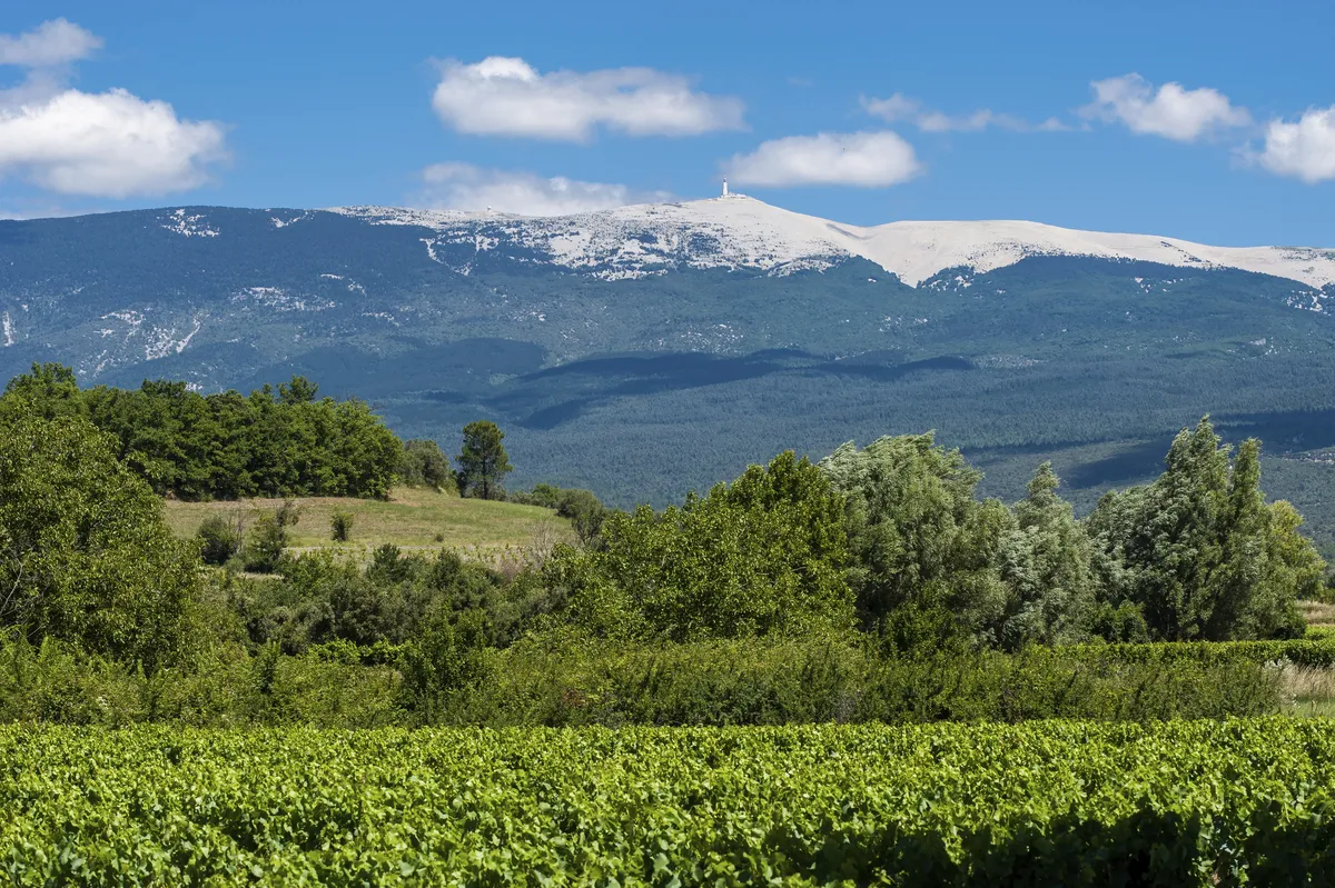 Blick auf den Mont Ventoux