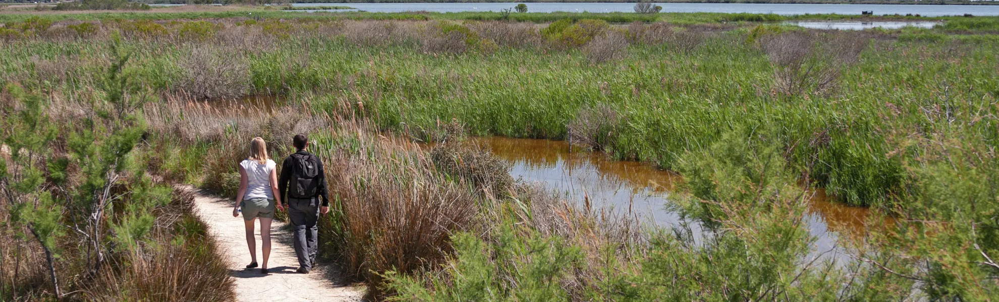 Wandern in der Camargue