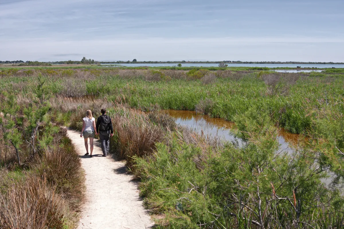 Wandern in der Camargue