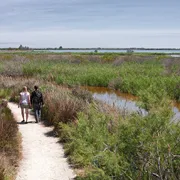 Wandern in der Camargue
