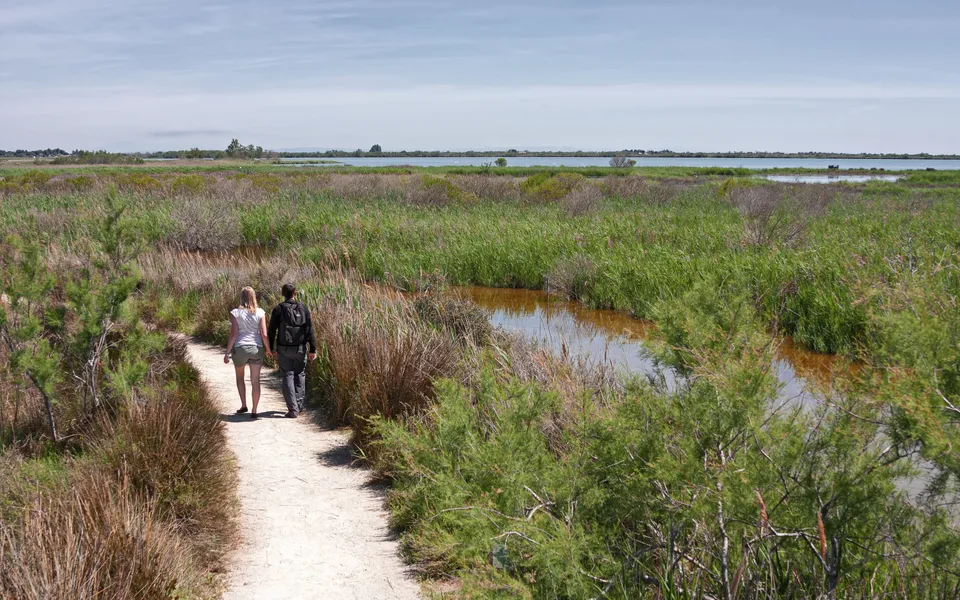 Wandern in der Camargue