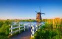 © biletskiyevgeniy.com - stock.adobe.com