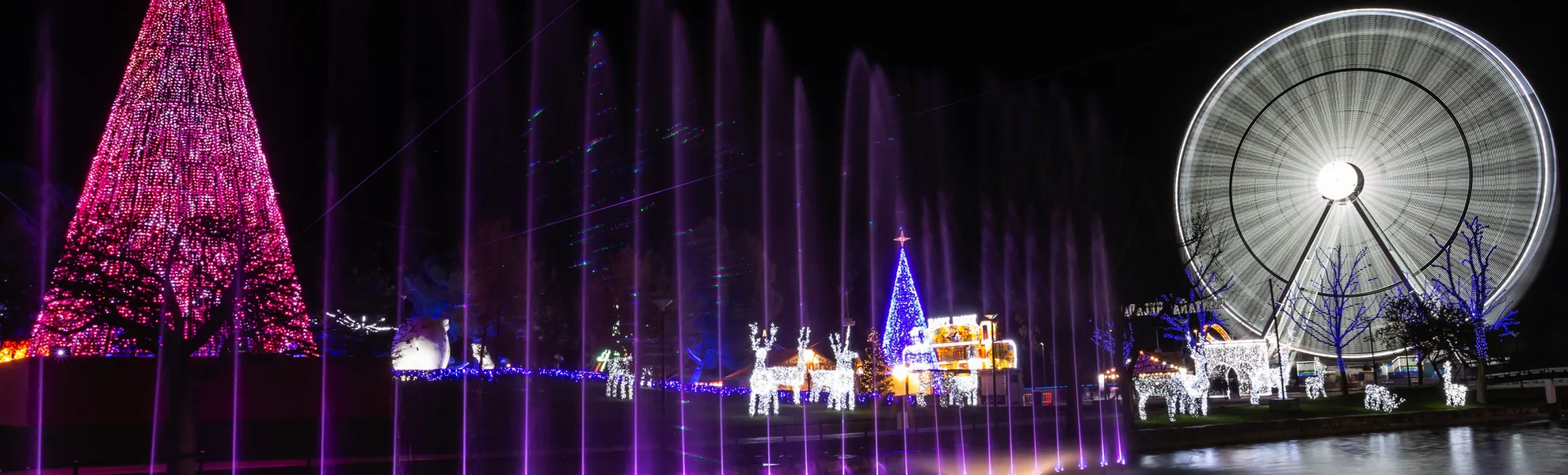 Weihnachtsbeleuchtung in Stettin - © marta - stock.adobe.com