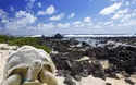 © Konstantin Kulikov - Fotolia
