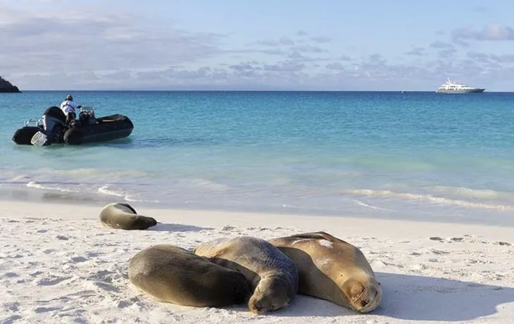 Galápagos-Expedition