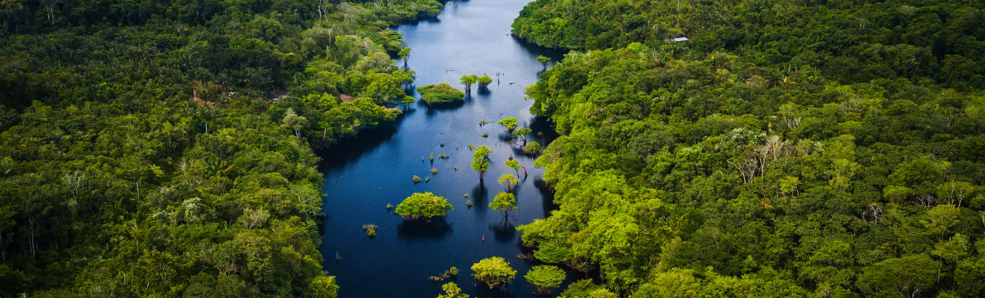 Anavilhanas-Archipel - eines der weltweit größten Flussinsel-Archipele des Rio Negro im Amazonasgebiet von Brasilien - © Marcio I. Sá - stock.adobe.com