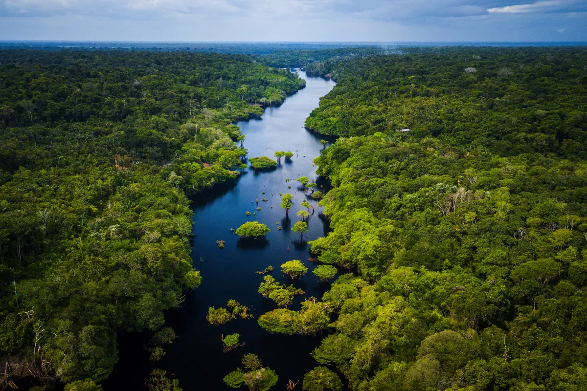 Anavilhanas-Archipel - eines der weltweit größten Flussinsel-Archipele des Rio Negro im Amazonasgebiet von Brasilien - © Marcio I. Sá - stock.adobe.com