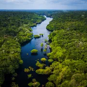 Anavilhanas-Archipel - eines der weltweit größten Flussinsel-Archipele des Rio Negro im Amazonasgebiet von Brasilien