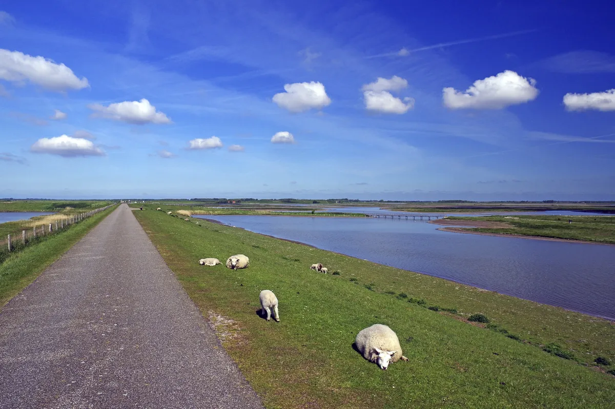 Nationalpark Osterscheelde - SE-Tours